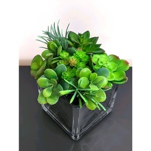 Artificial fake plant mirror cube succulent pot